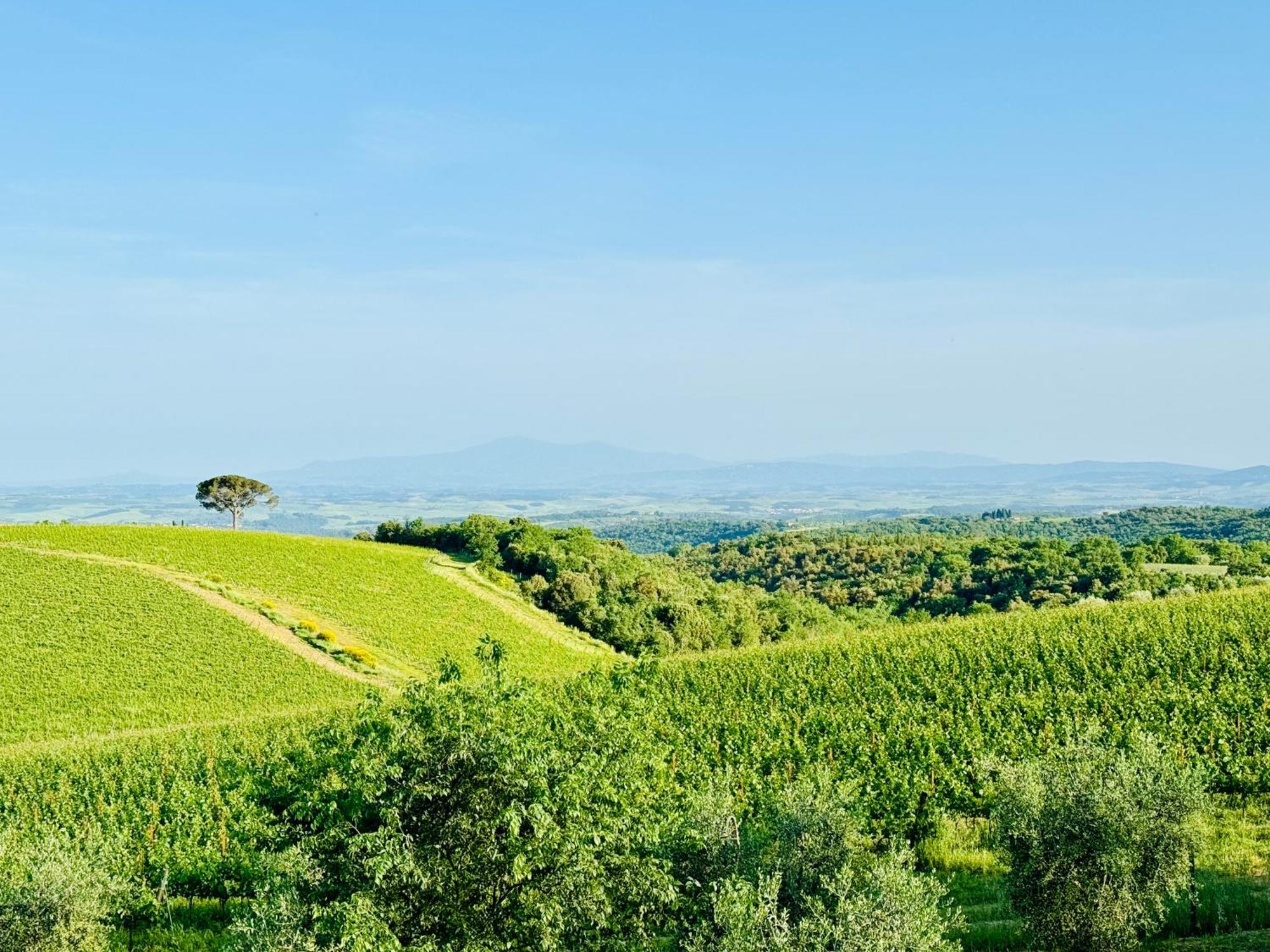 Libertas Tuscan Hideaway San Sano Ngoại thất bức ảnh