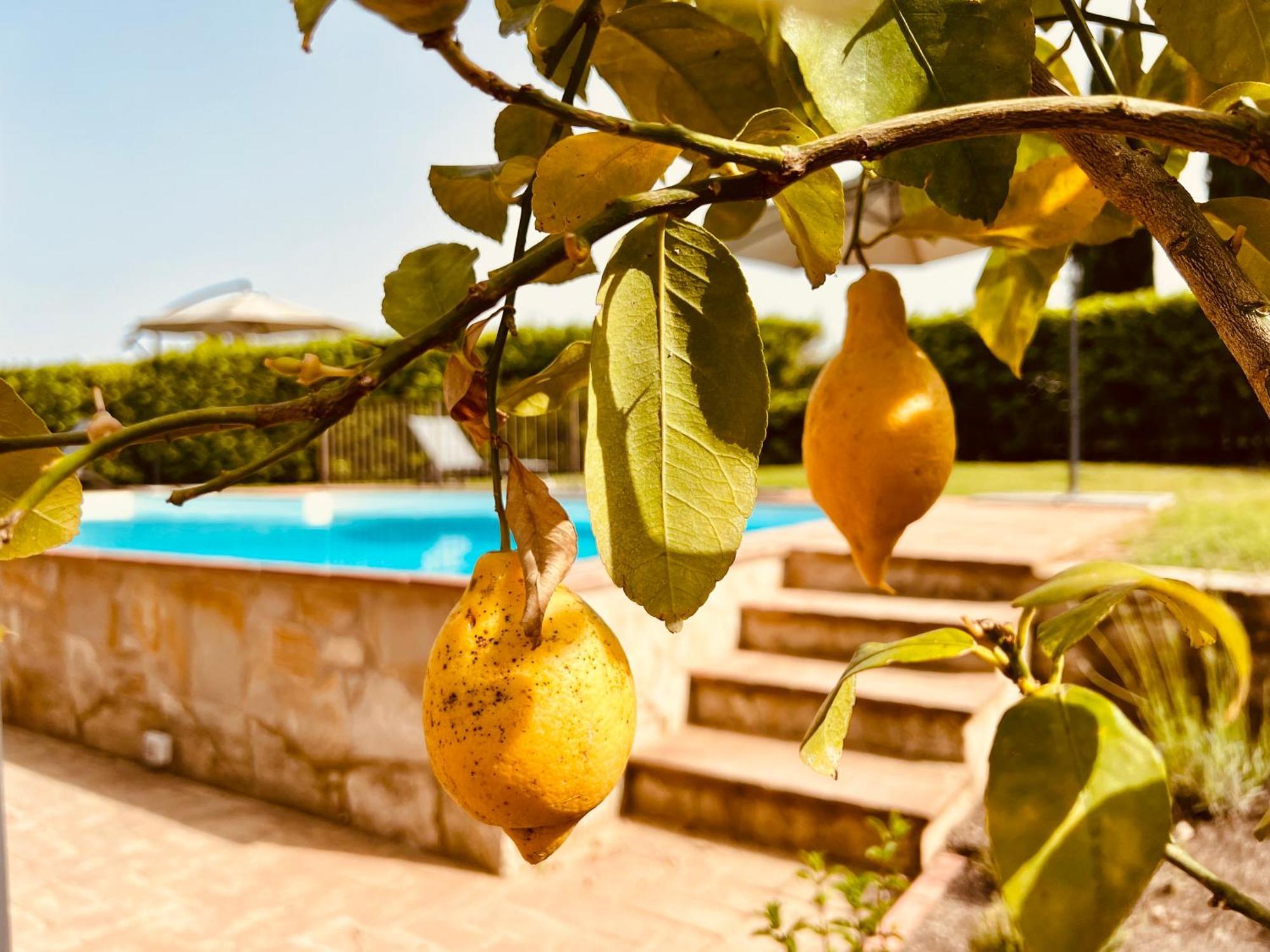 Libertas Tuscan Hideaway San Sano Ngoại thất bức ảnh