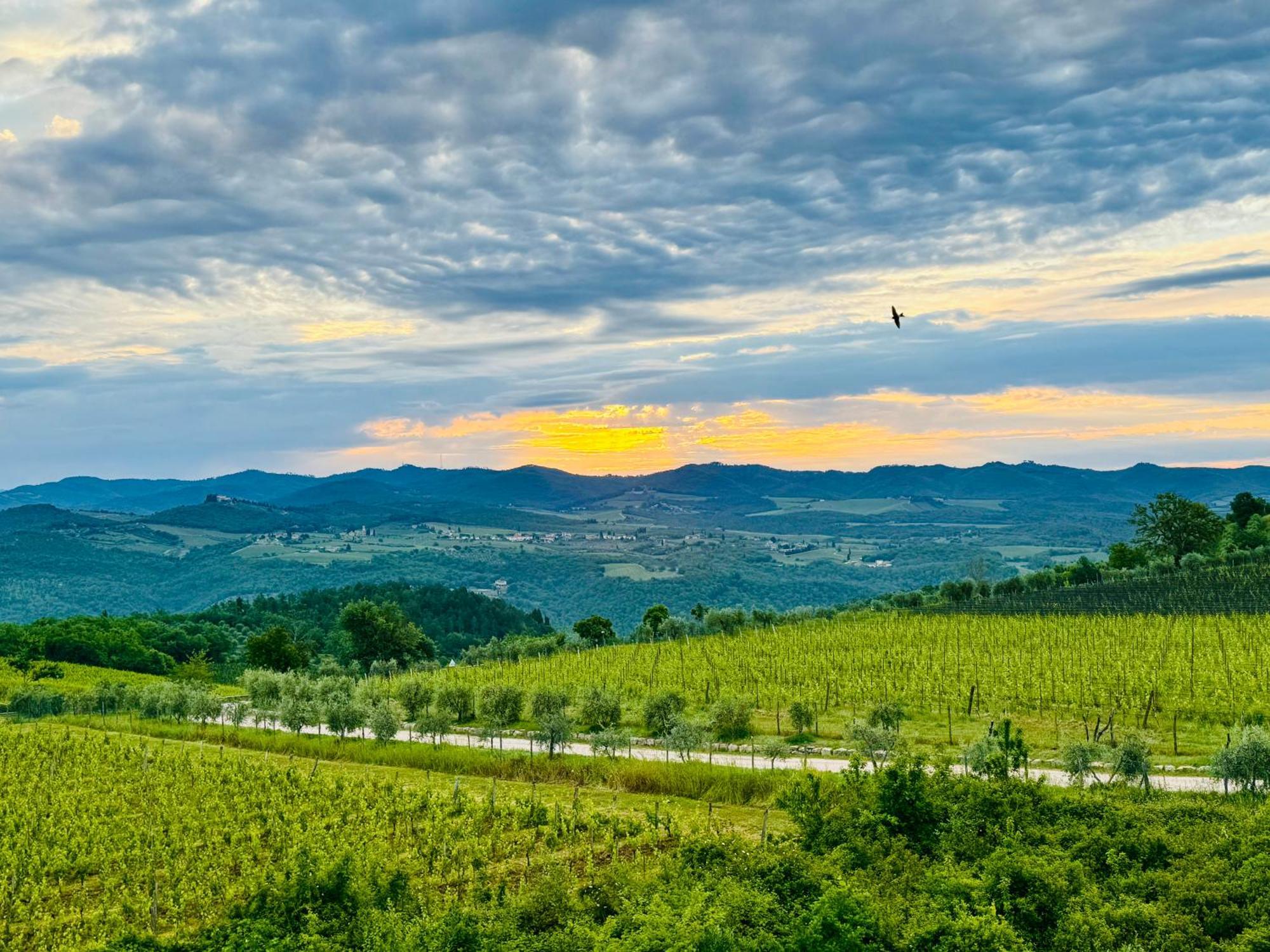 Libertas Tuscan Hideaway San Sano Ngoại thất bức ảnh